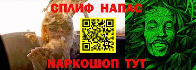 сатива Камышлов