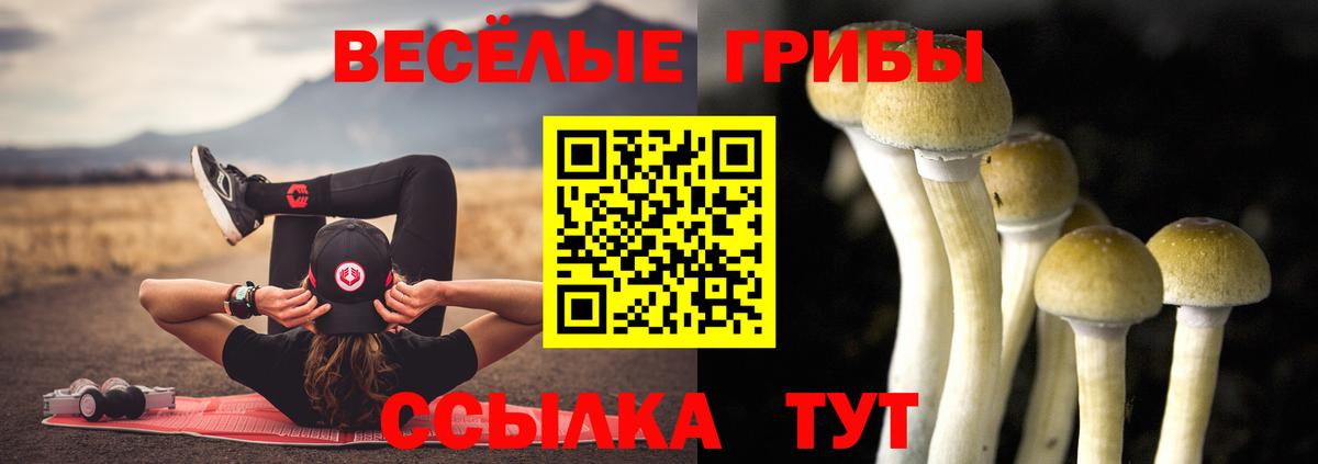 Галлюциногенные грибы MAGIC MUSHROOMS Лениногорск
